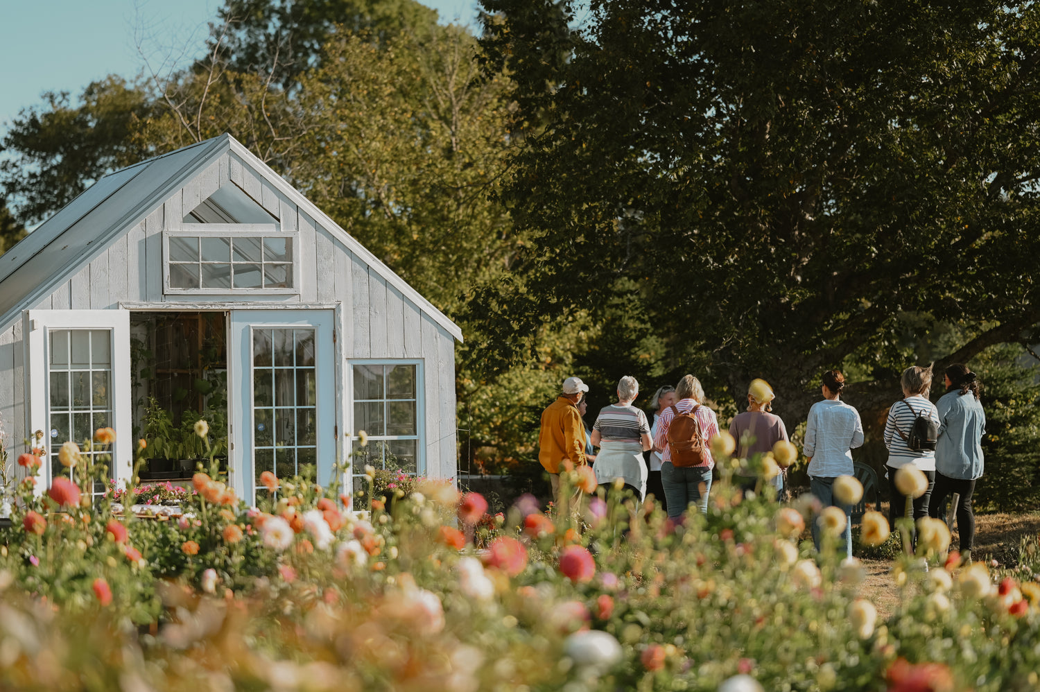 Tide and Bloom: Arranging Beauty by the Bay
