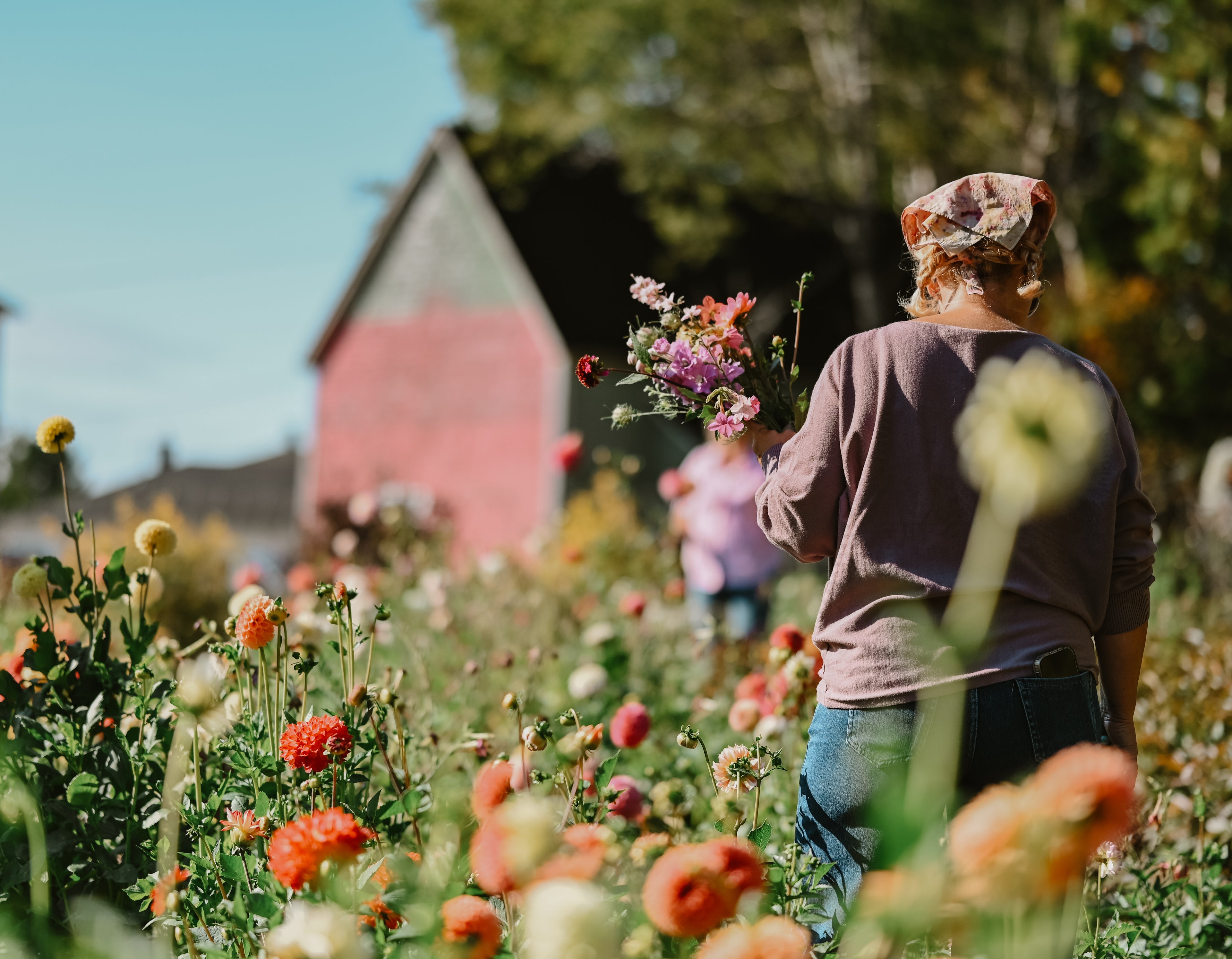 Tide and Bloom: Arranging Beauty by the Bay