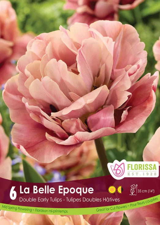 La Belle Époque